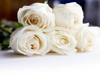 Believe in the Business of Your Dreams